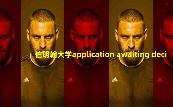 伯明翰大学application awaiting decision entry
